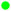 Green Indicator